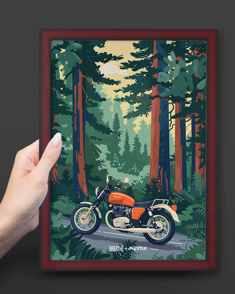 Thumbnail 26