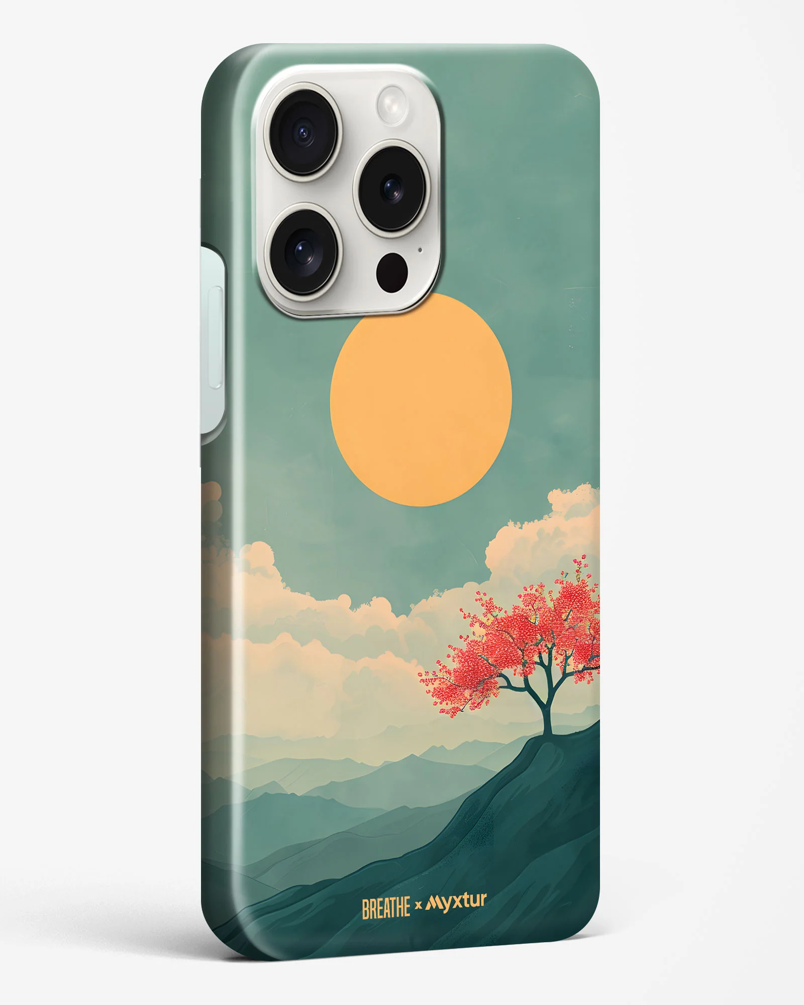 Thumbnail 36