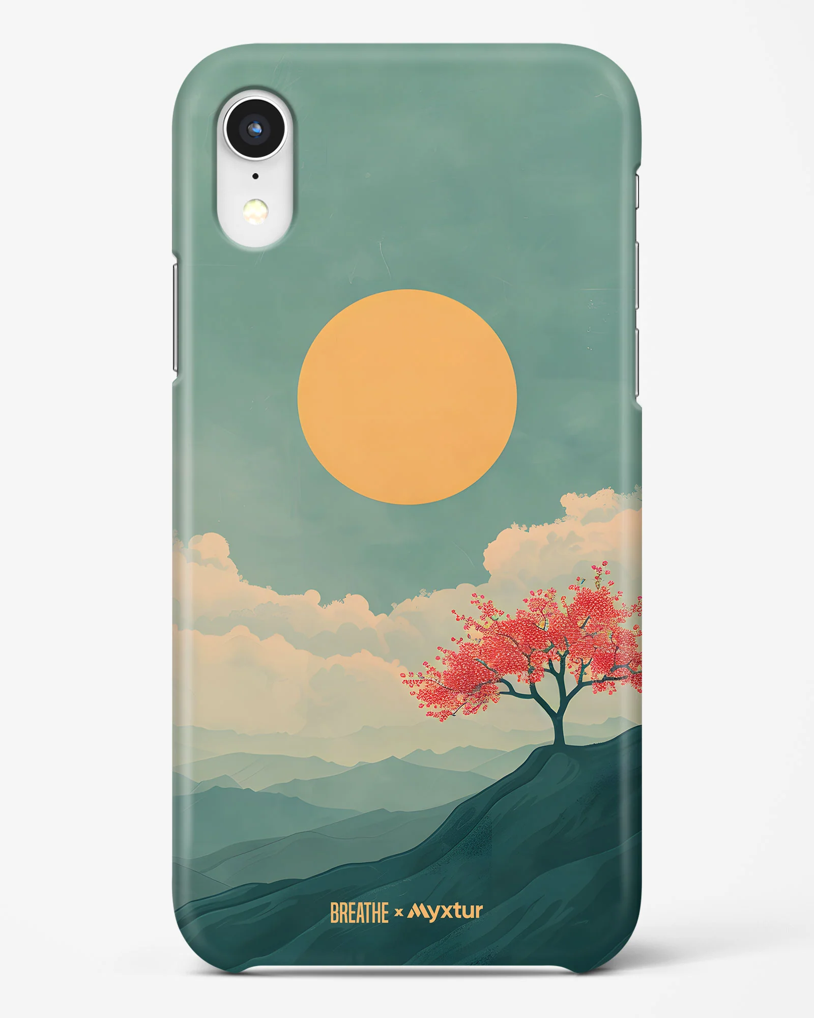 Thumbnail 65