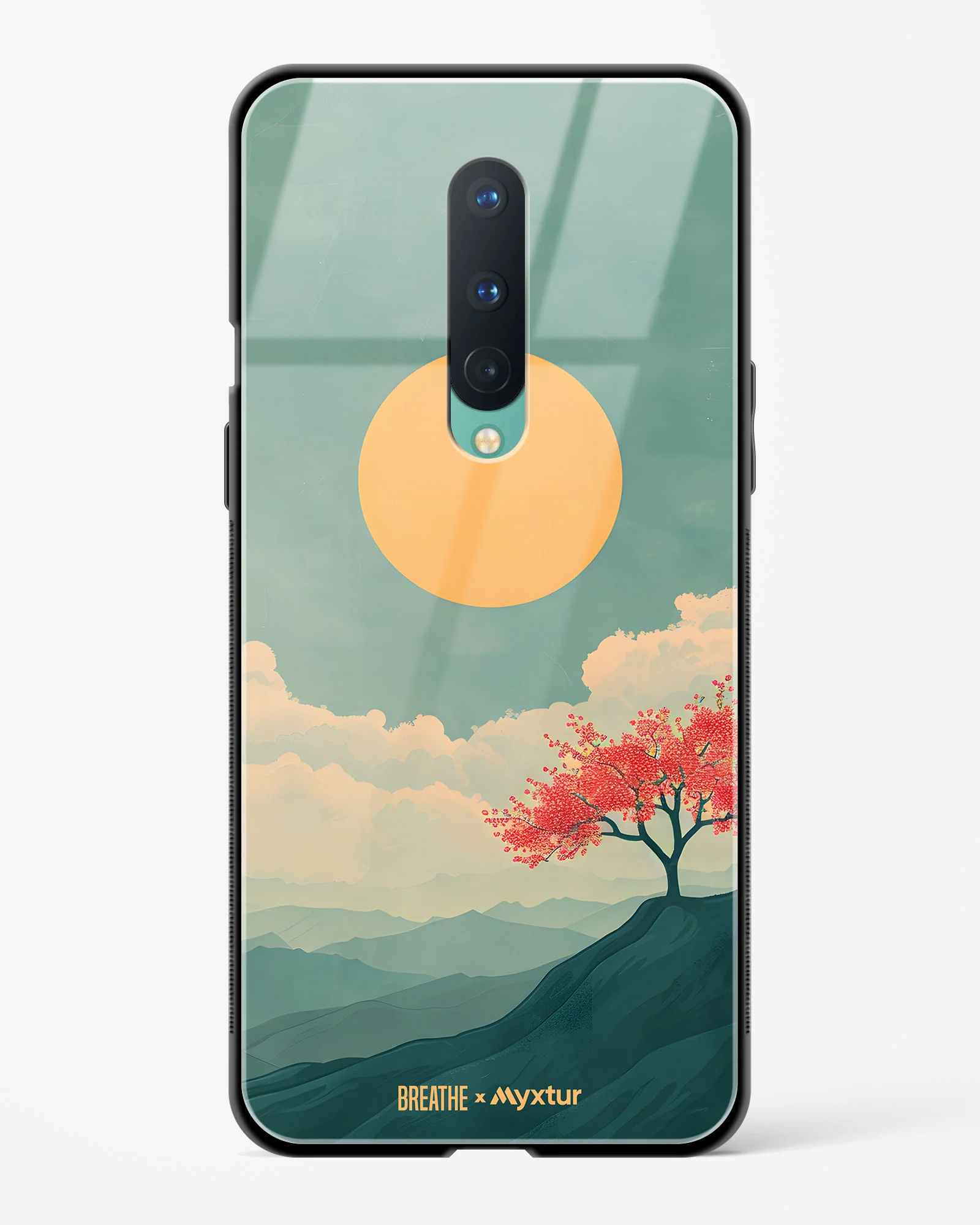 Thumbnail 33