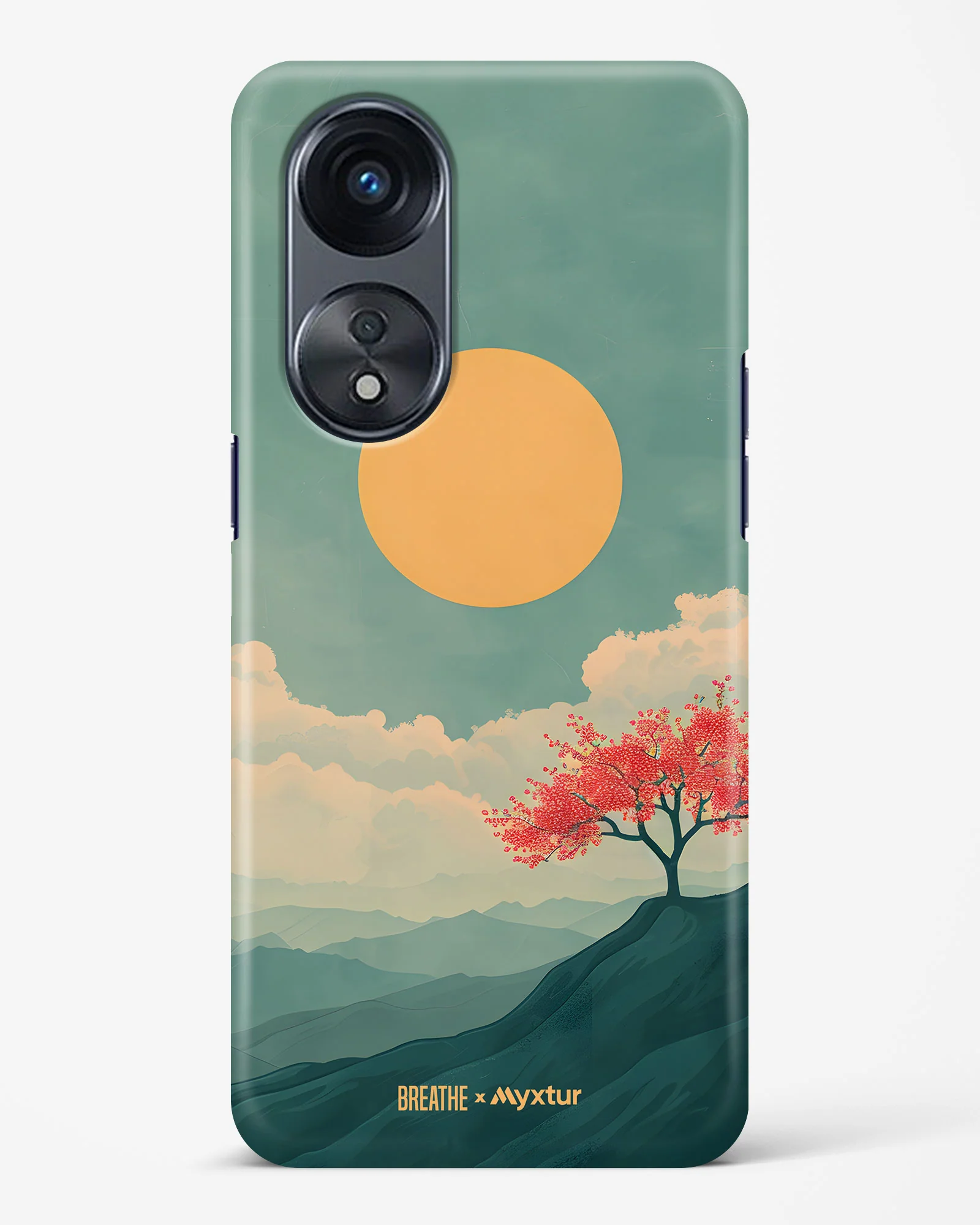 Thumbnail 31